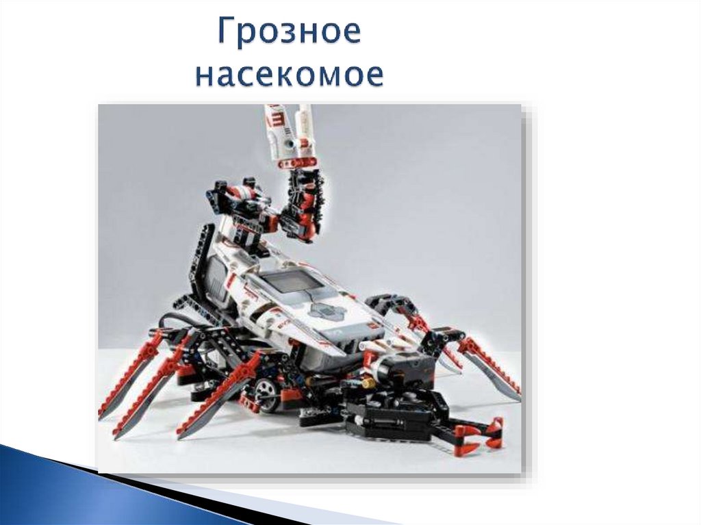 Грозное насекомое