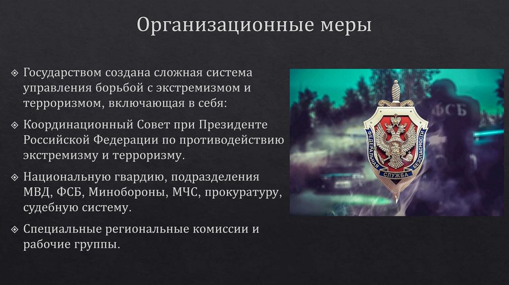 Организационные меры