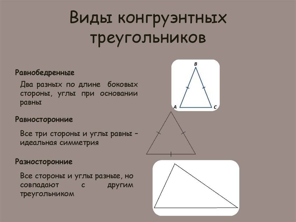 Виды конгруэнтных треугольников