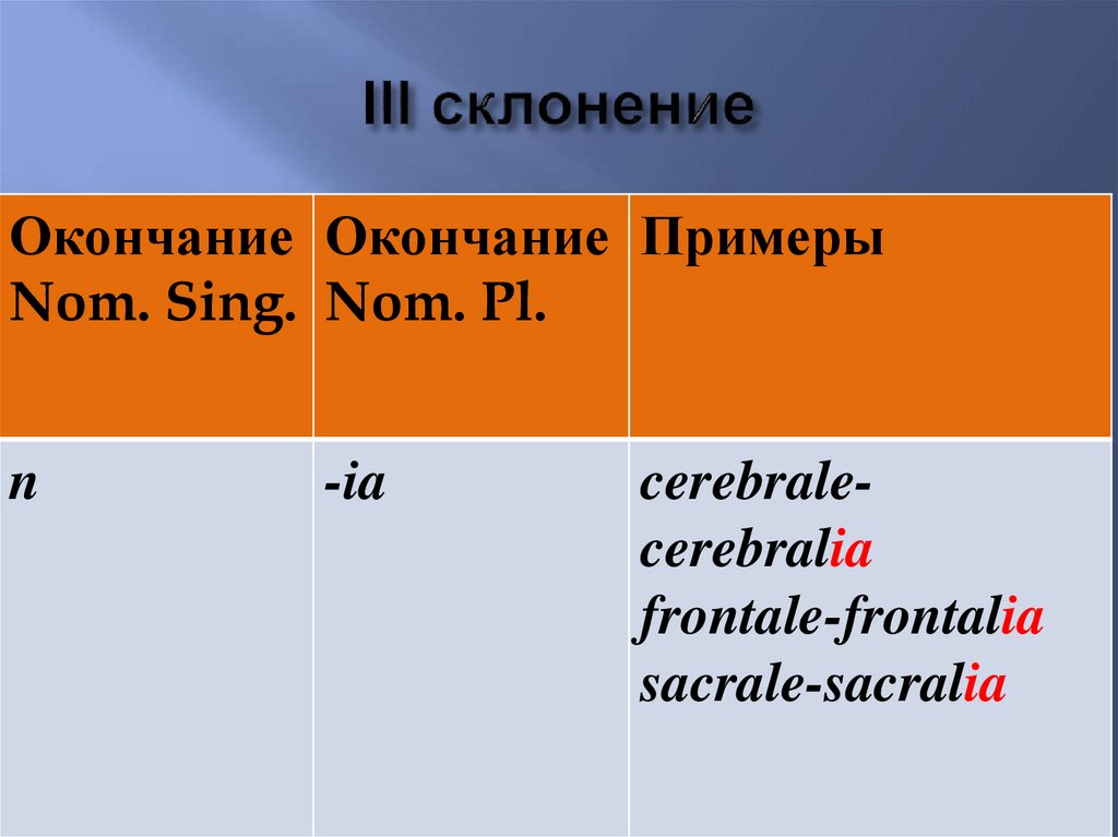 III склонение
