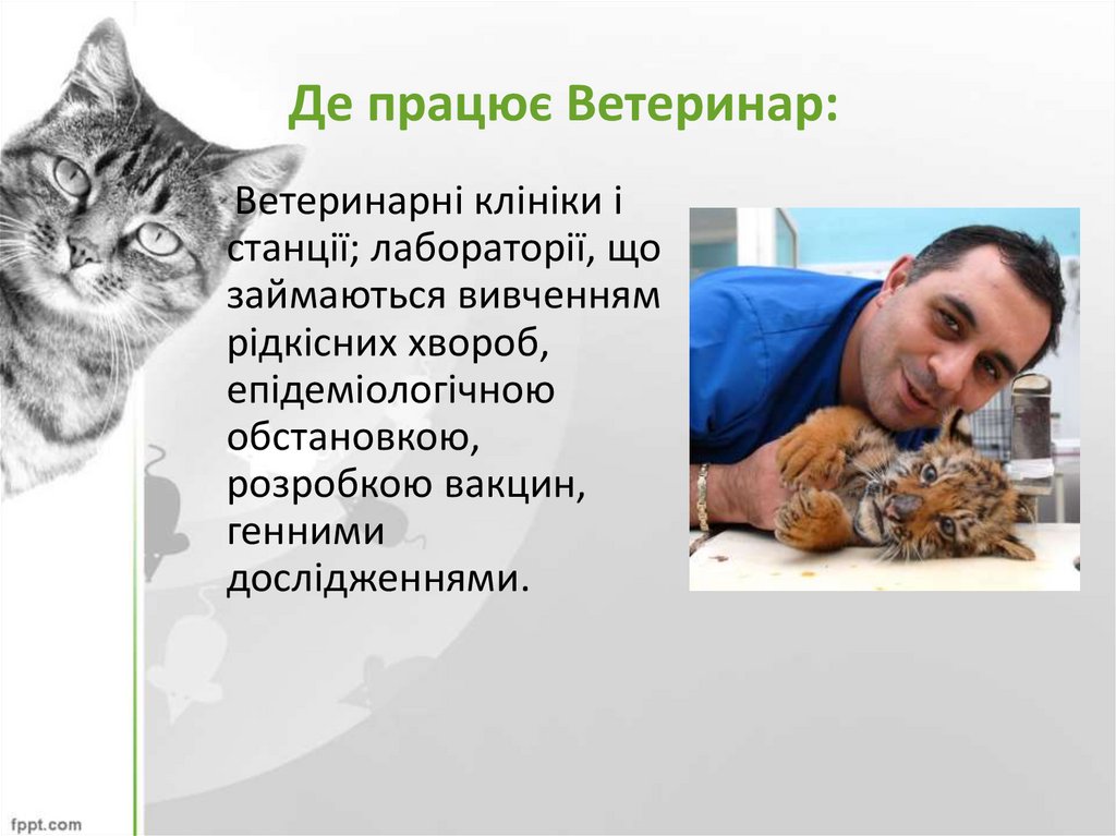 Де працює Ветеринар: