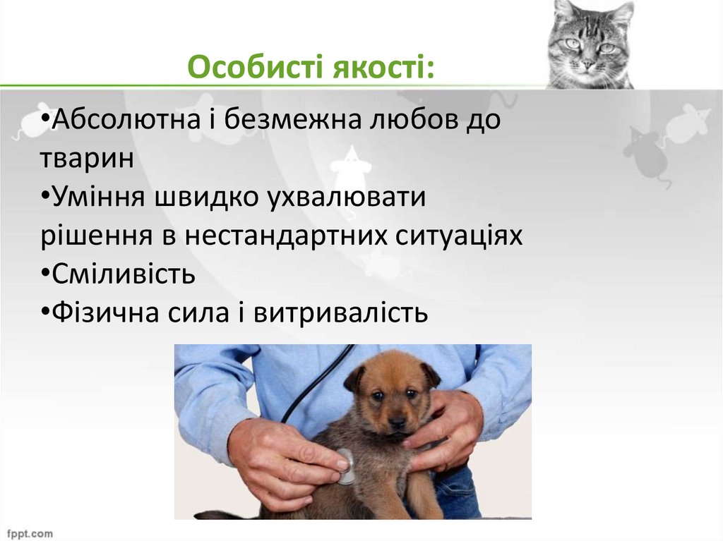 Особисті якості: