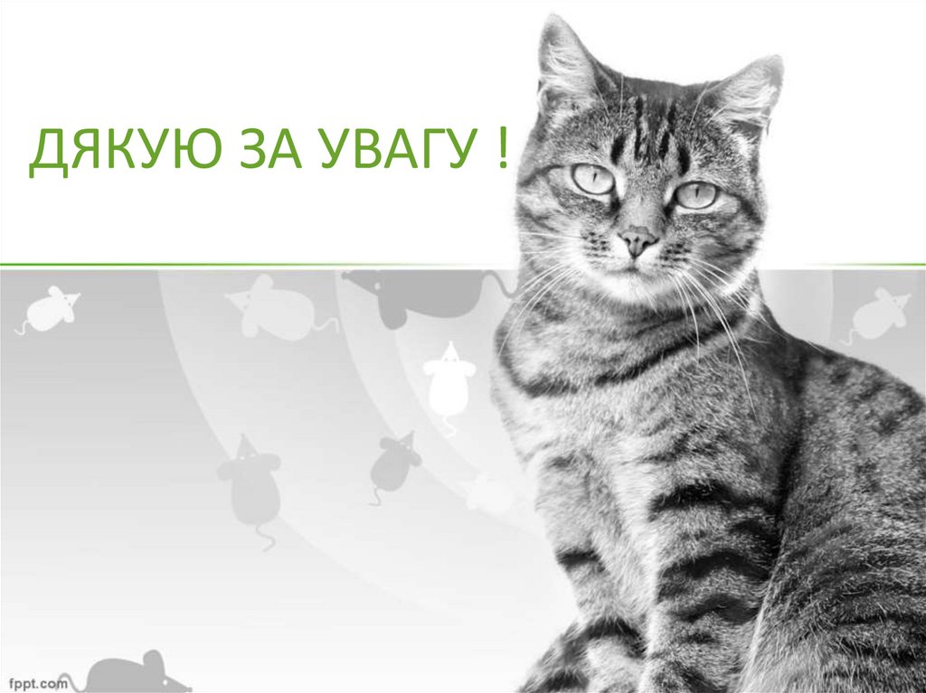 ДЯКУЮ ЗА УВАГУ !