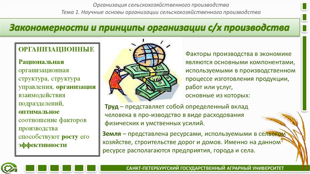 Закономерности и принципы организации с/х производства