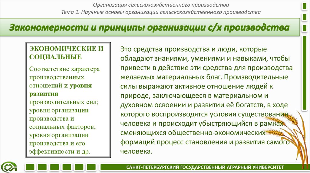 Закономерности и принципы организации с/х производства