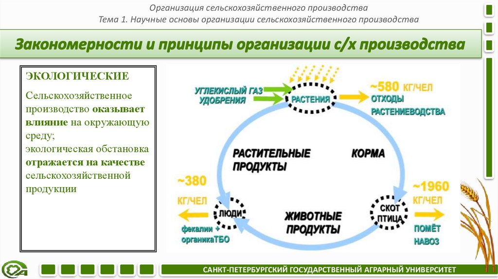Закономерности и принципы организации с/х производства