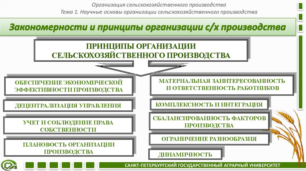 Закономерности и принципы организации с/х производства