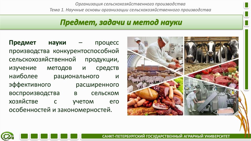 Предмет, задачи и метод науки