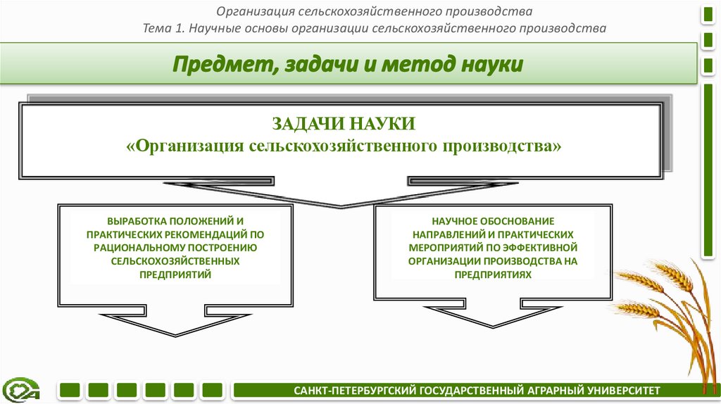 Предмет, задачи и метод науки