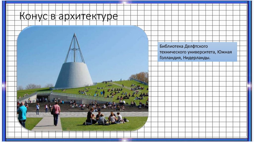 Конус в природе