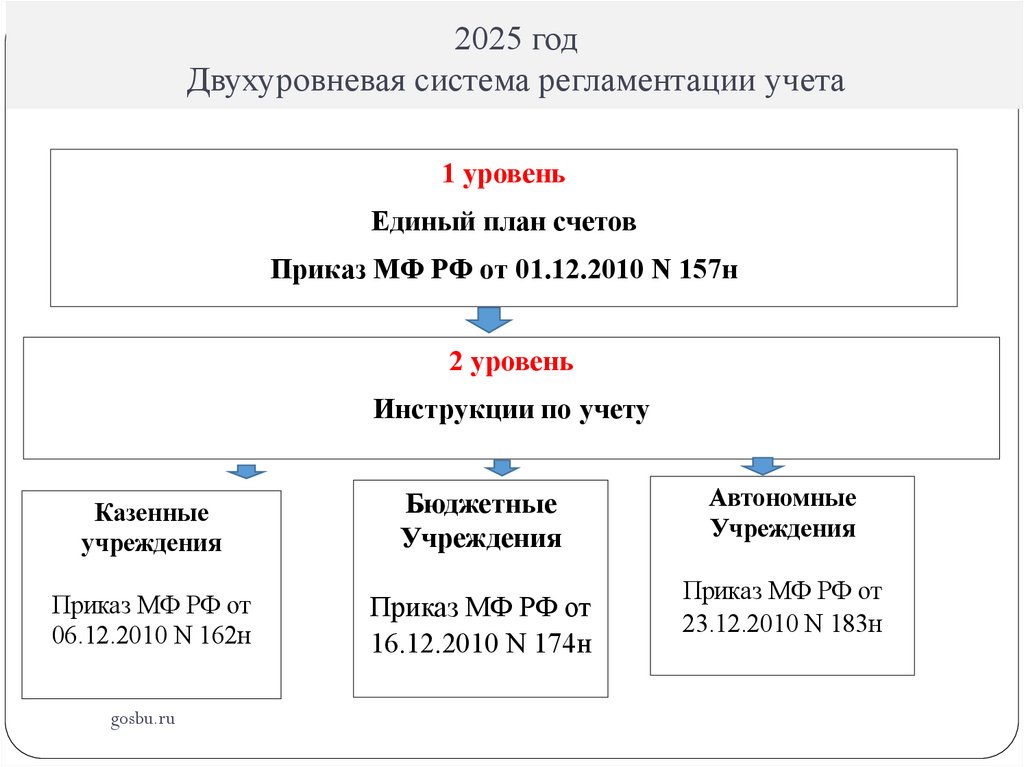 2025 год Двухуровневая система регламентации учета