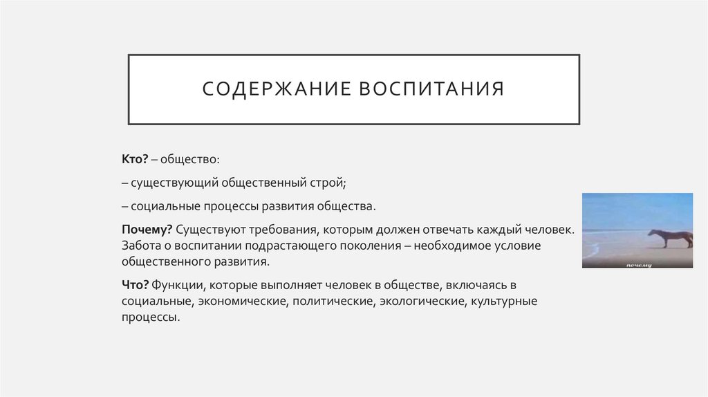 Содержание воспитания