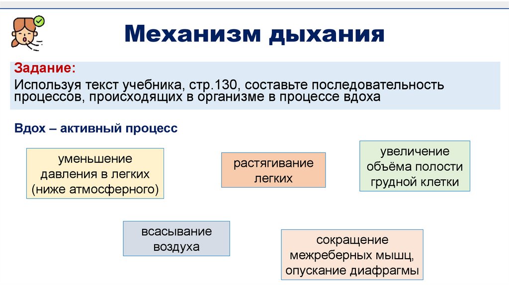 Механизм дыхания