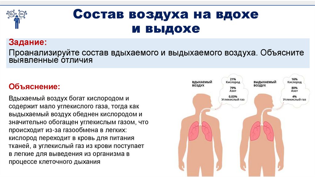 Состав воздуха на вдохе и выдохе