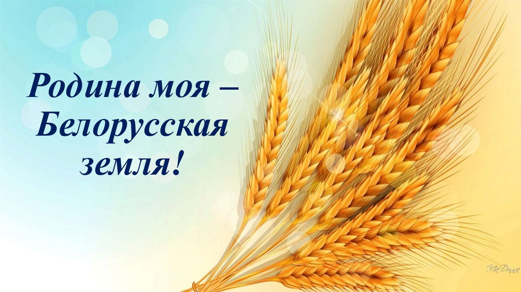 Родина моя – Белорусская земля!