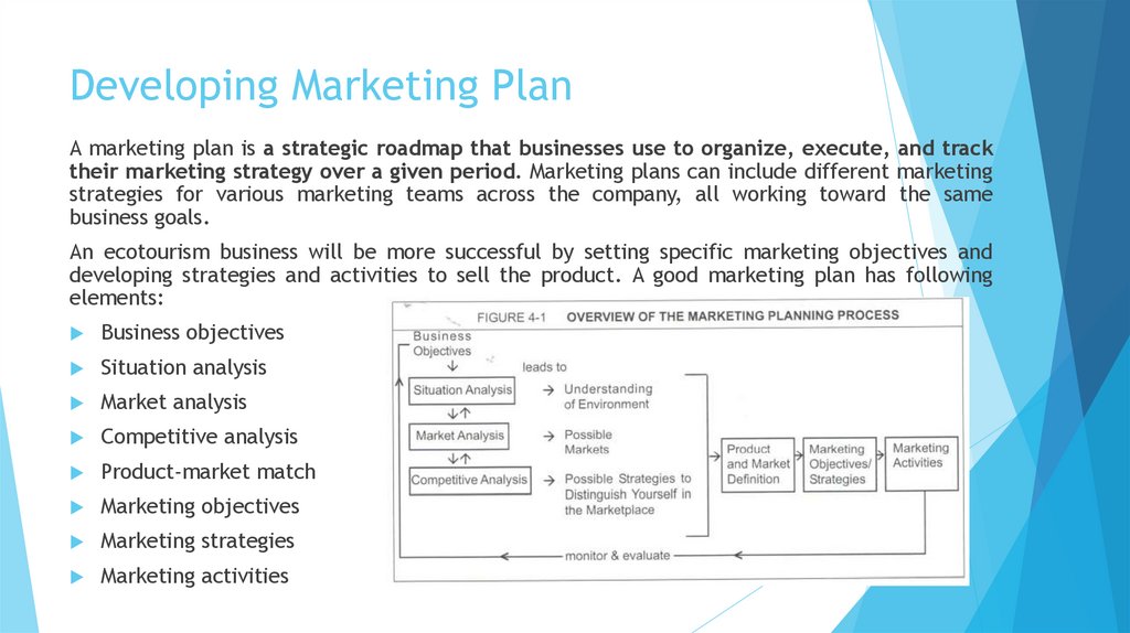Developing Marketing Plan