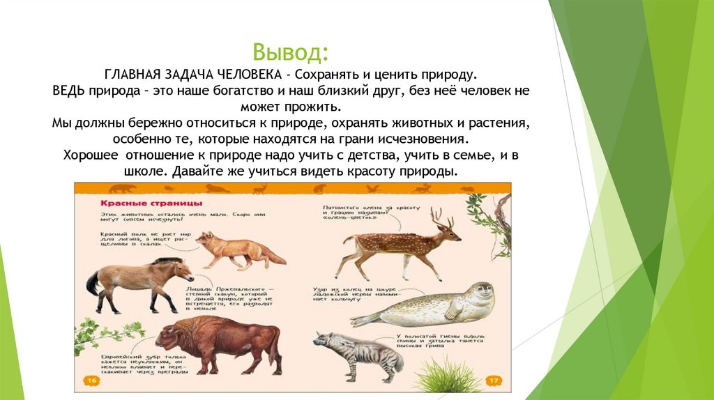 Вывод: ГЛАВНАЯ ЗАДАЧА ЧЕЛОВЕКА - Сохранять и ценить природу. ВЕДЬ природа – это наше богатство и наш близкий друг, без неё