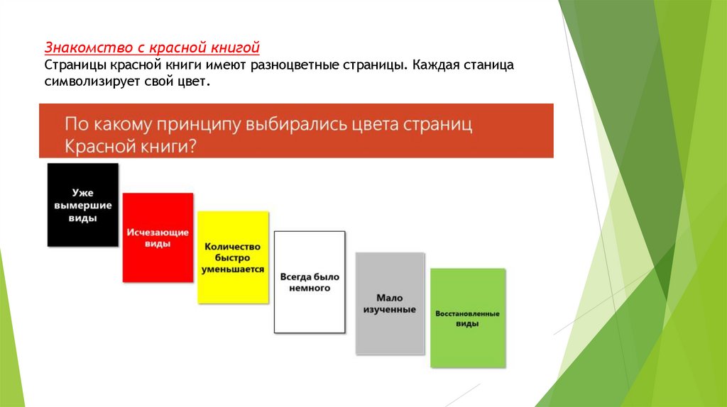 Знакомство с красной книгой Страницы красной книги имеют разноцветные страницы. Каждая станица символизирует свой цвет.