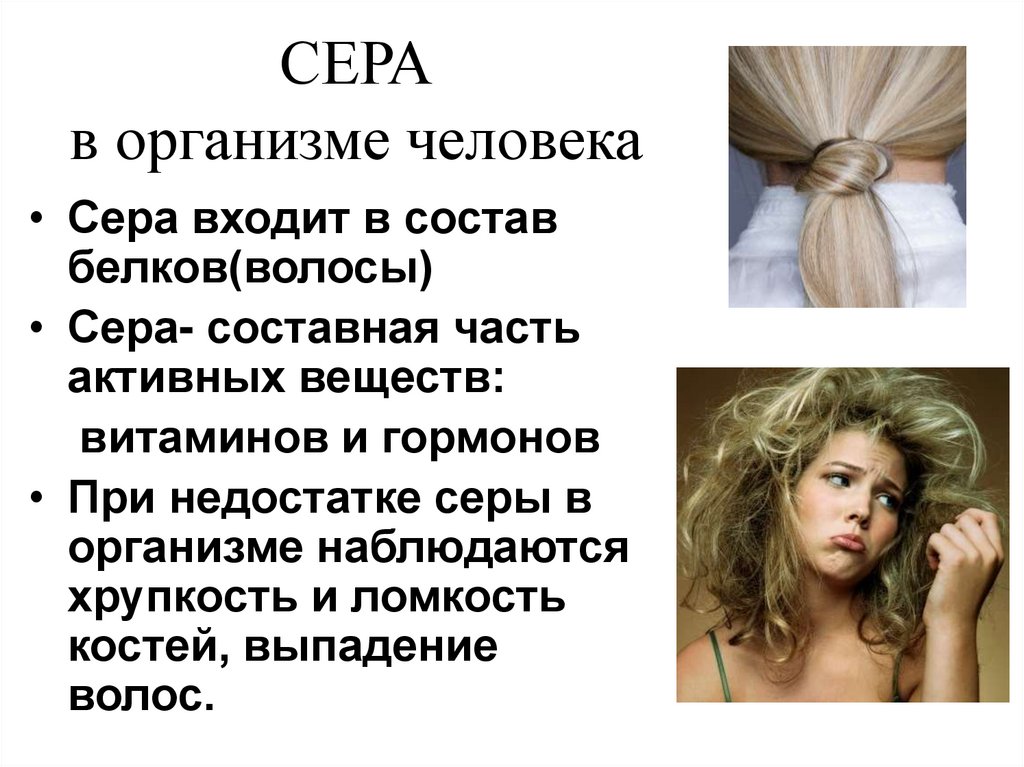 СЕРА в организме человека