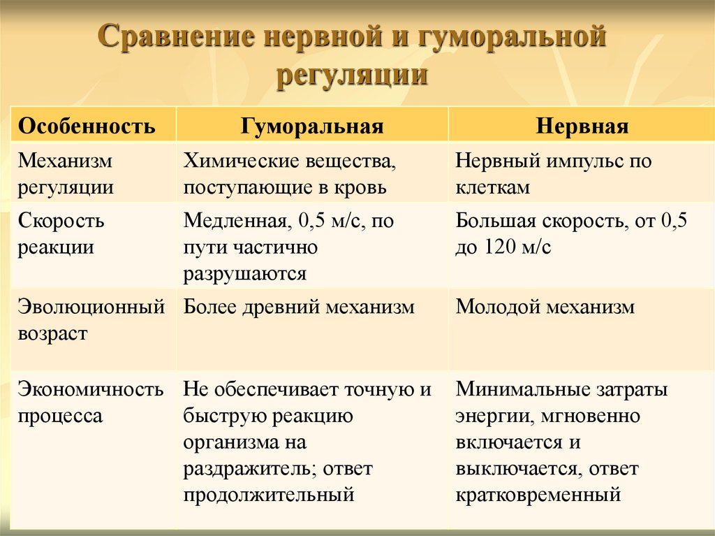 Сравнение нервной и гуморальной регуляции