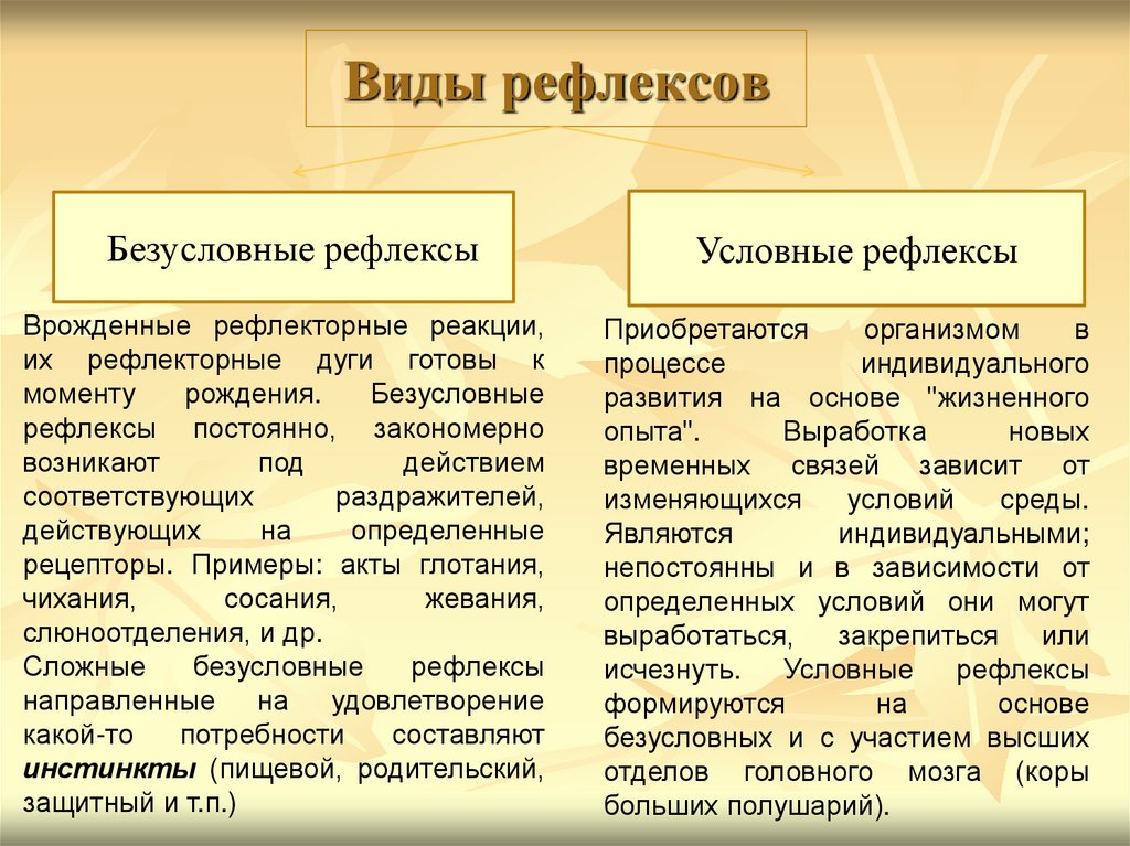 Виды рефлексов