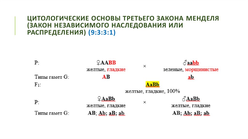 Цитологические основы третьего закона менделя (закон независимого наследования или распределения) (9:3:3:1)