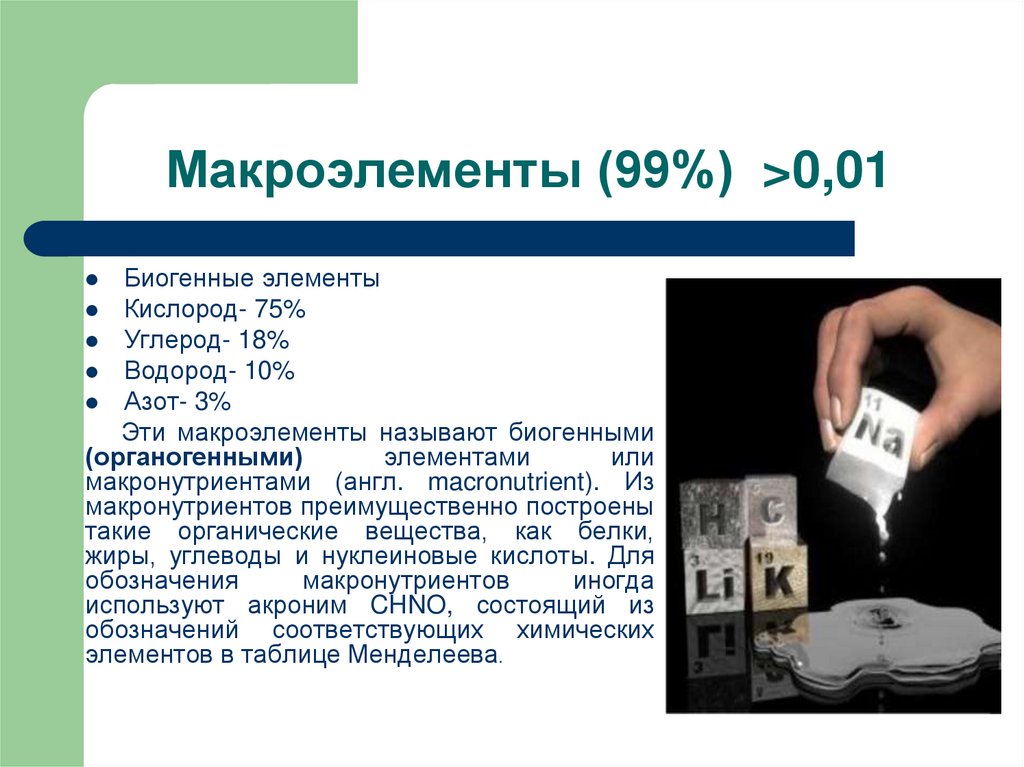Макроэлементы (99%) >0,01