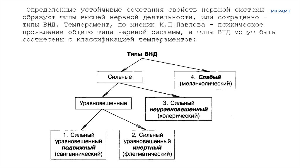  Определенные устойчивые сочетания свойств нервной системы образуют типы высшей нервной деятельности, или сокращенно - типы