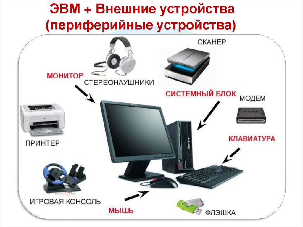 ЭВМ + Внешние устройства (периферийные устройства)