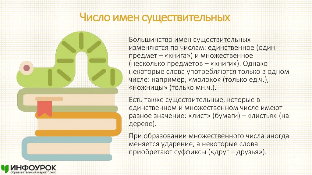 Число имен существительных