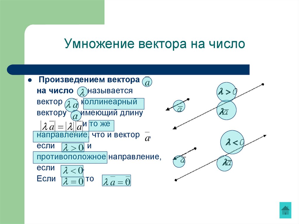 Умножение вектора на число