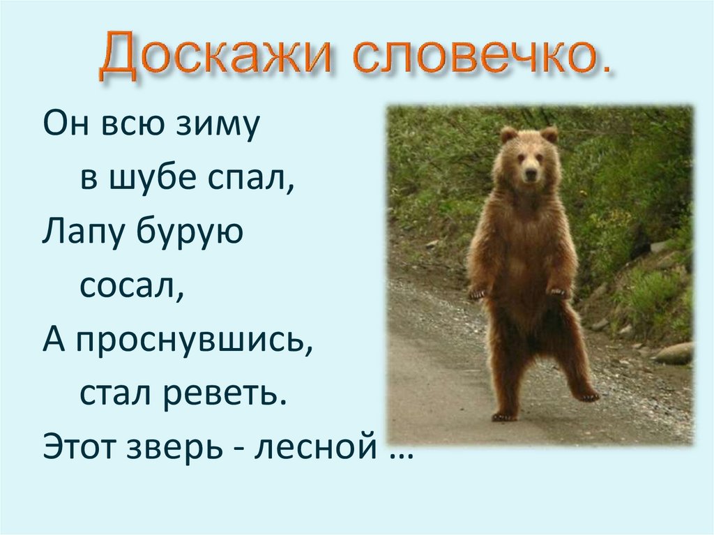 Доскажи словечко.