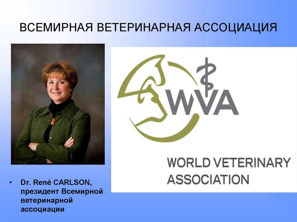 ВСЕМИРНАЯ ВЕТЕРИНАРНАЯ АССОЦИАЦИЯ