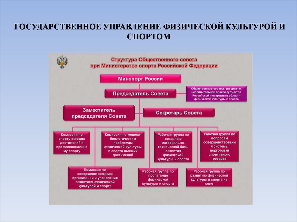 ГОСУДАРСТВЕННОЕ УПРАВЛЕНИЕ ФИЗИЧЕСКОЙ КУЛЬТУРОЙ И СПОРТОМ 