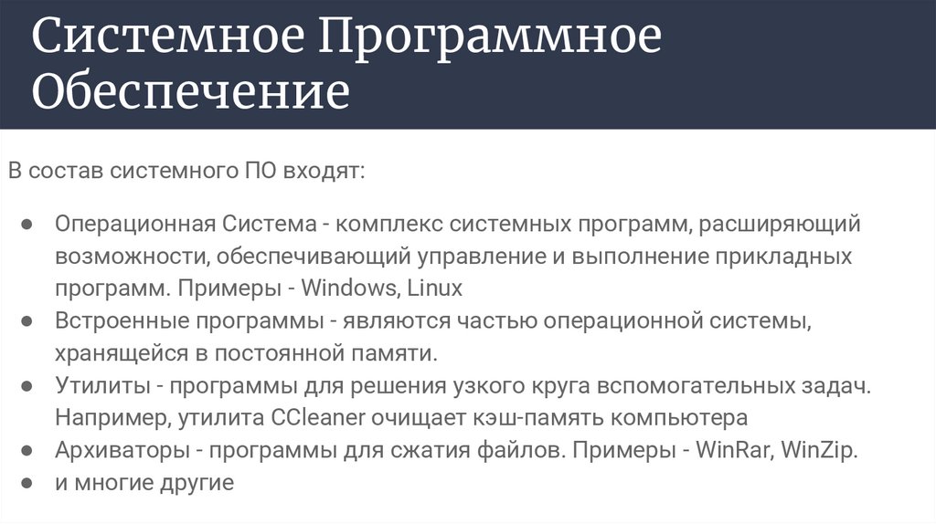 Системное Программное Обеспечение