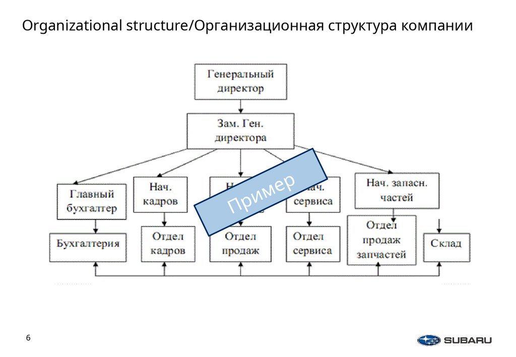 Organizational structure/Организационная структура компании