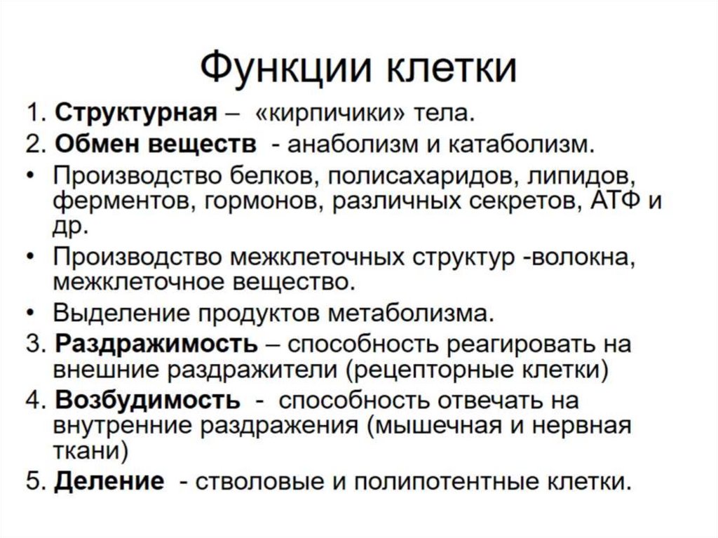Функции клетки