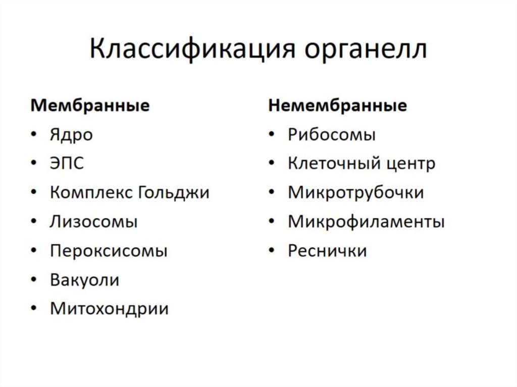 Классификация органелл