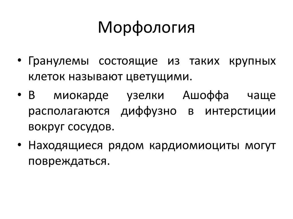 Морфология