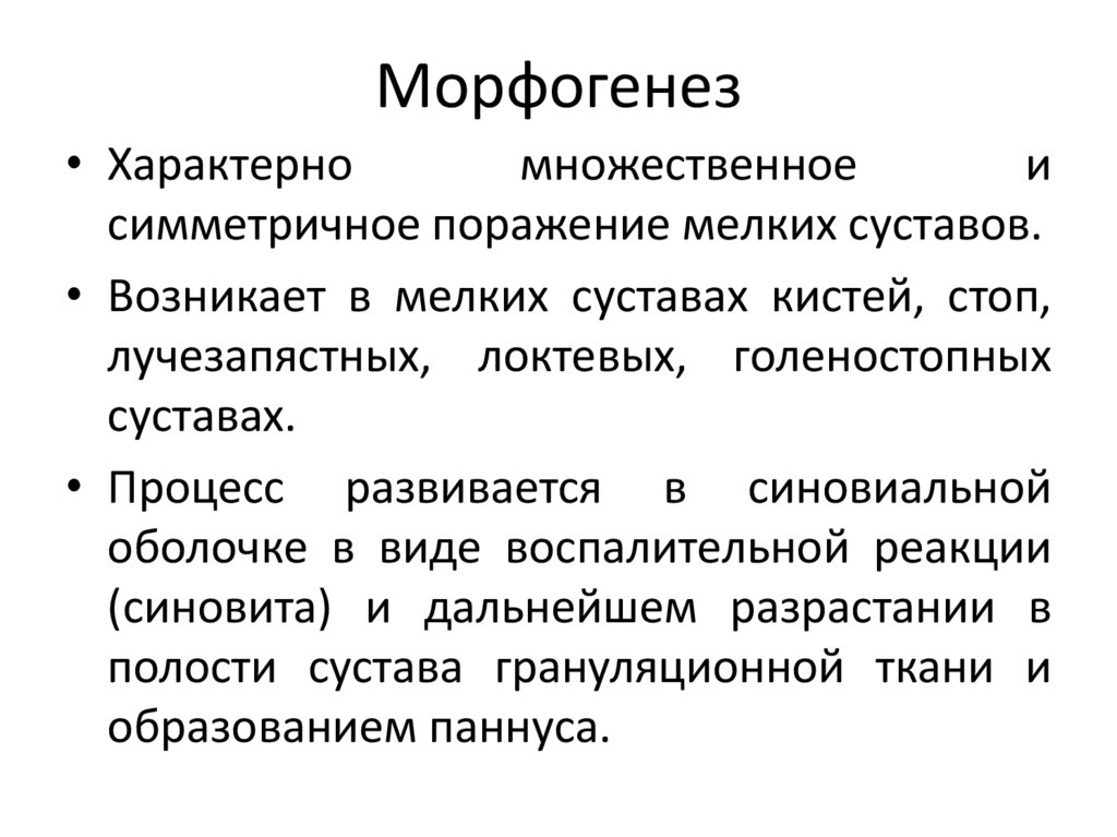 Морфогенез