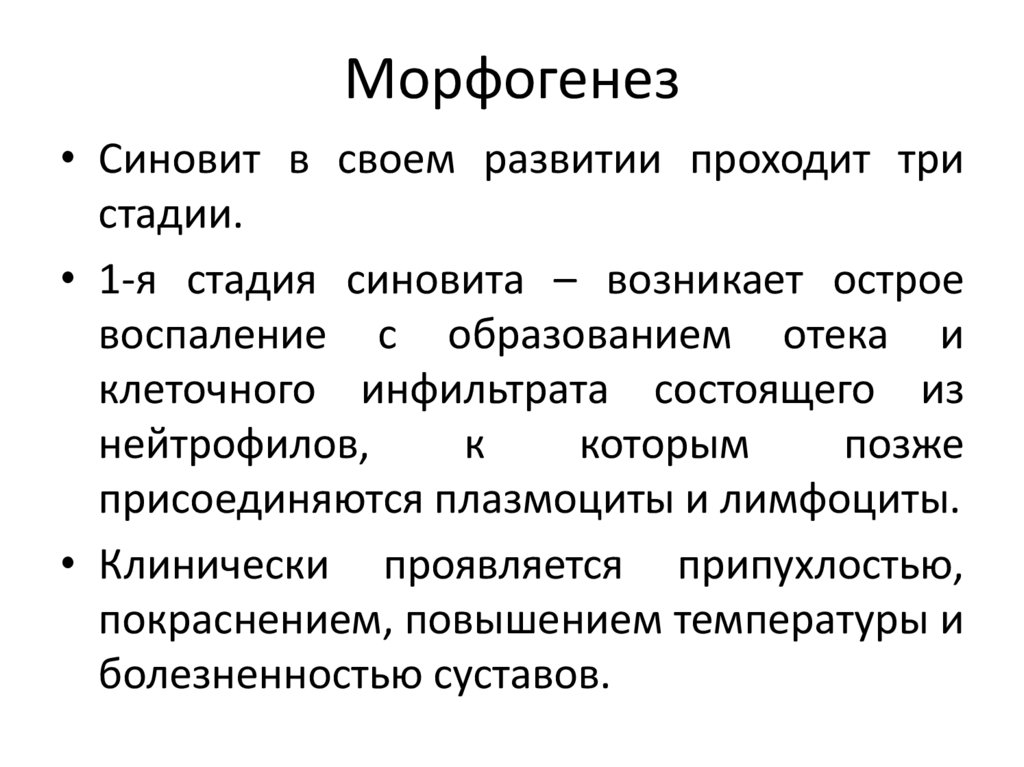Морфогенез