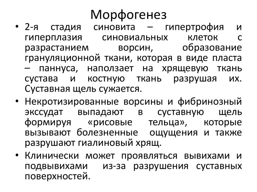 Морфогенез