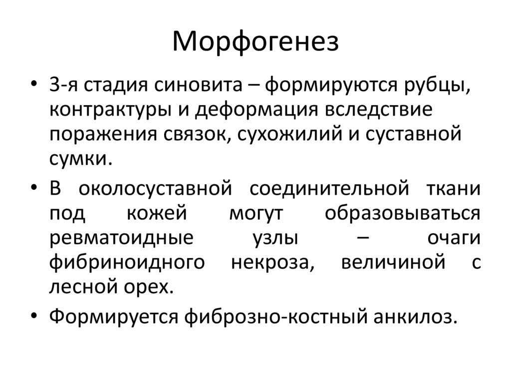 Морфогенез