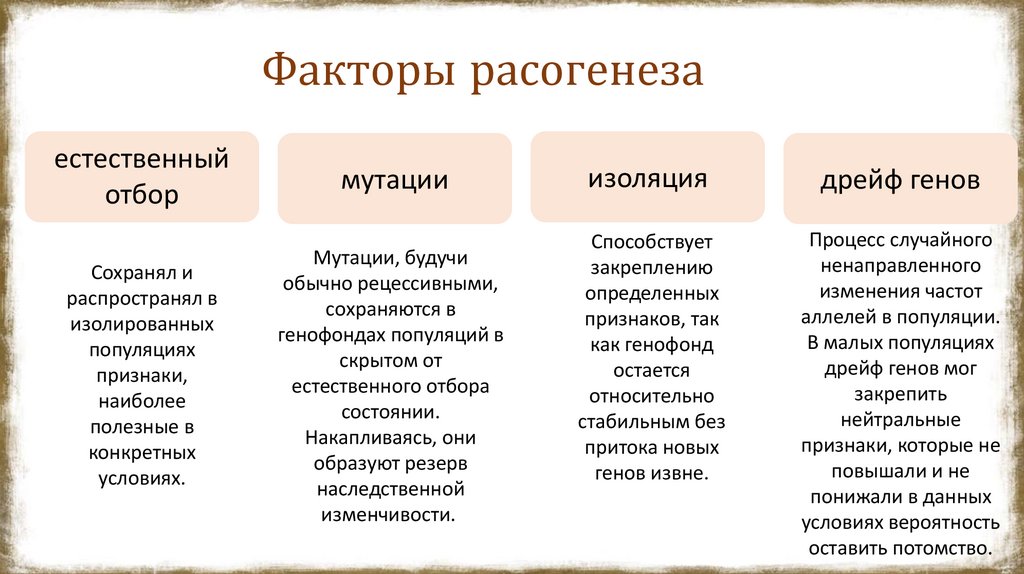 Факторы расогенеза