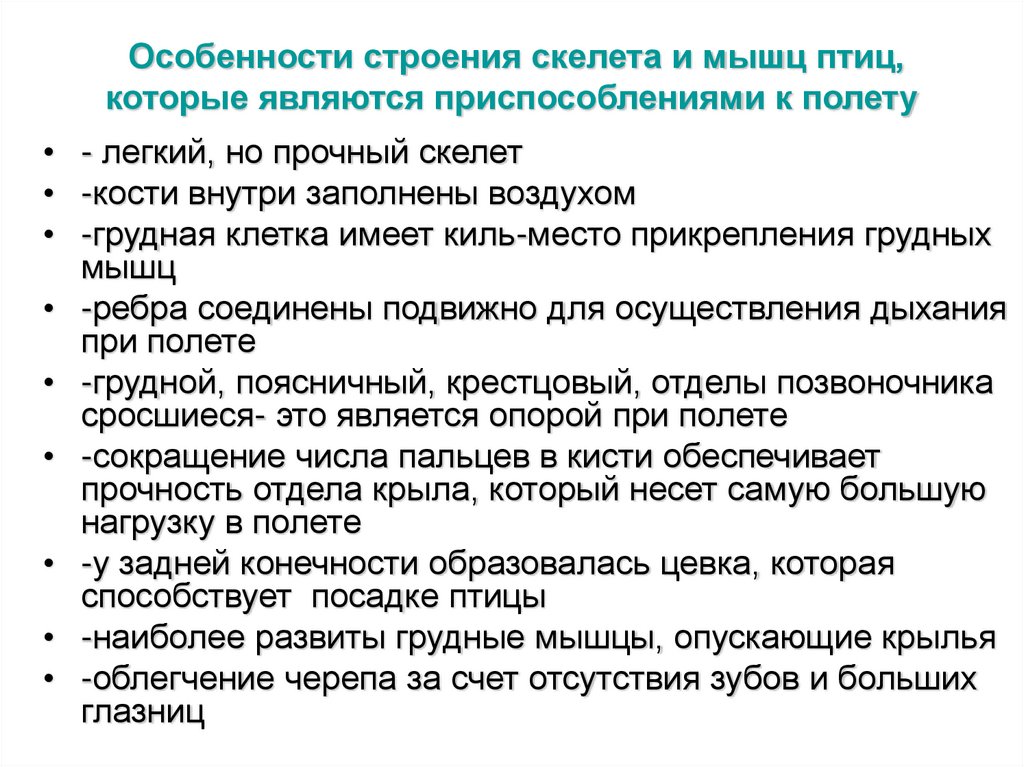 Особенности строения скелета и мышц птиц, которые являются приспособлениями к полету