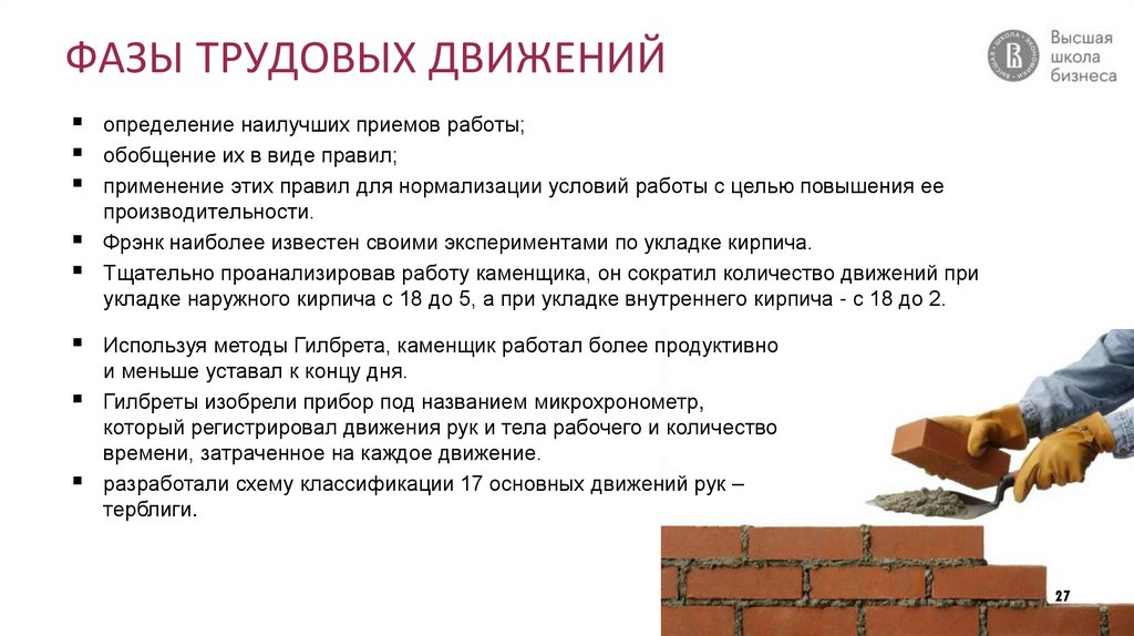 ФАЗЫ ТРУДОВЫХ ДВИЖЕНИЙ