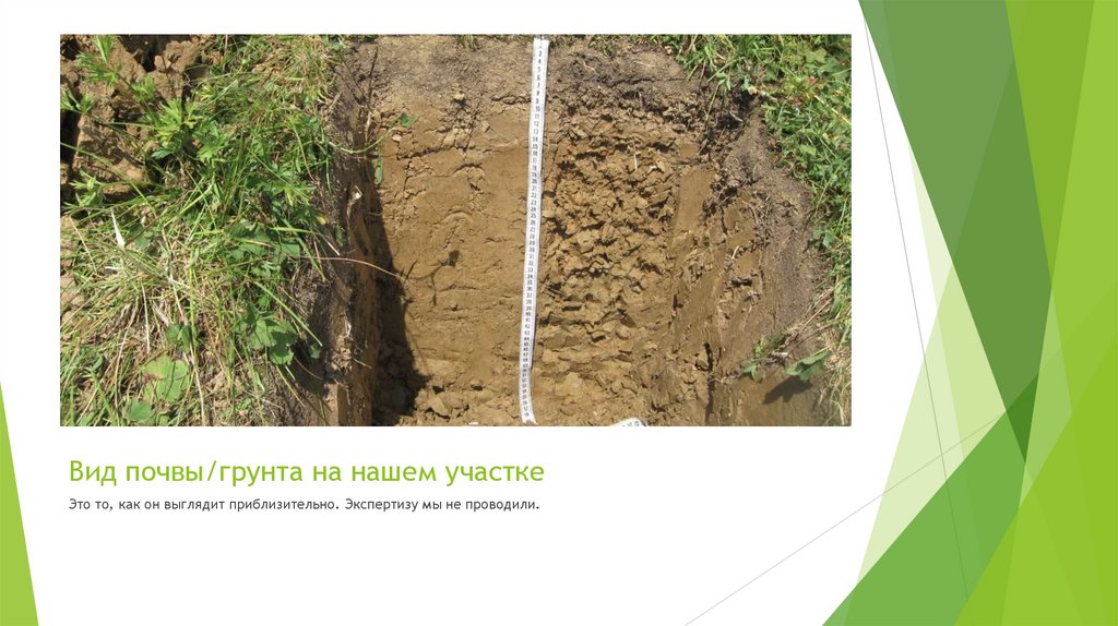 Вид почвы/грунта на нашем участке