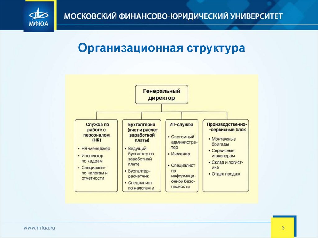 Организационная структура