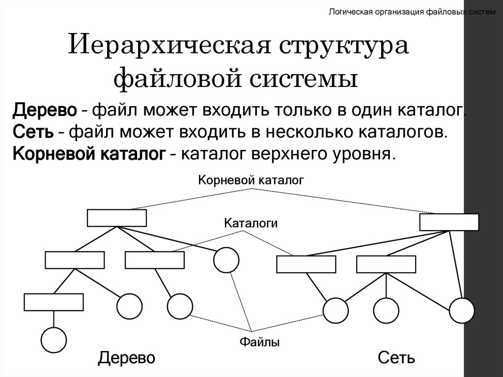 Иерархическая структура файловой системы
