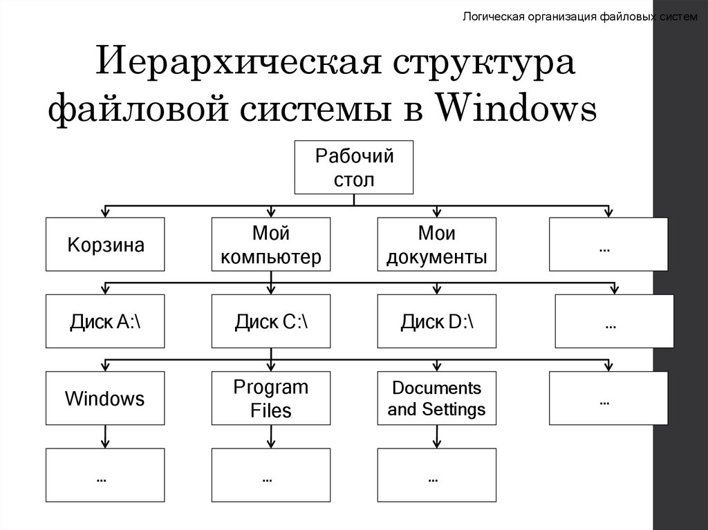 Иерархическая структура файловой системы в Windows